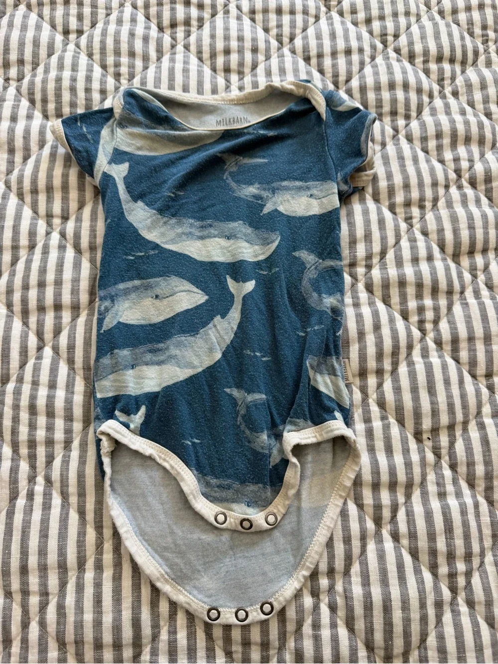 Milkbarn 3-6 month bundle